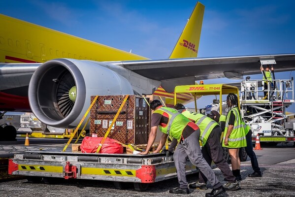 DHL准备将狒狒萨敦送往新家（摄影：DHL)