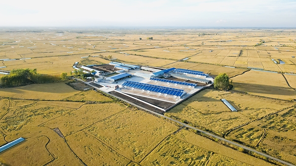 图为斐缦生物医用牛产业基地
