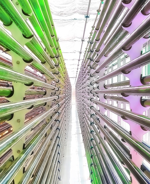 生物科技活性成分